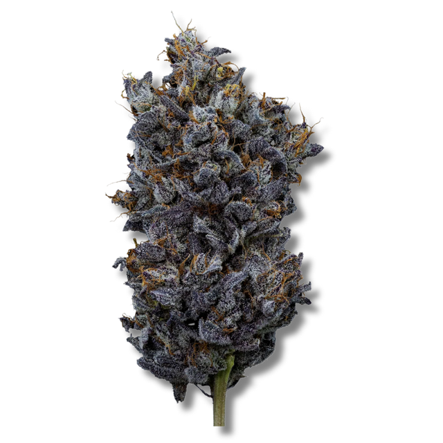 Dopamine HighMark Provisions