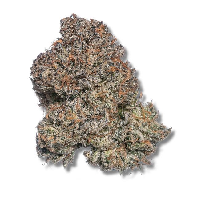 G-Thang Kush Glorious Cannabis