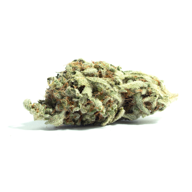 Kush Mintz Mello