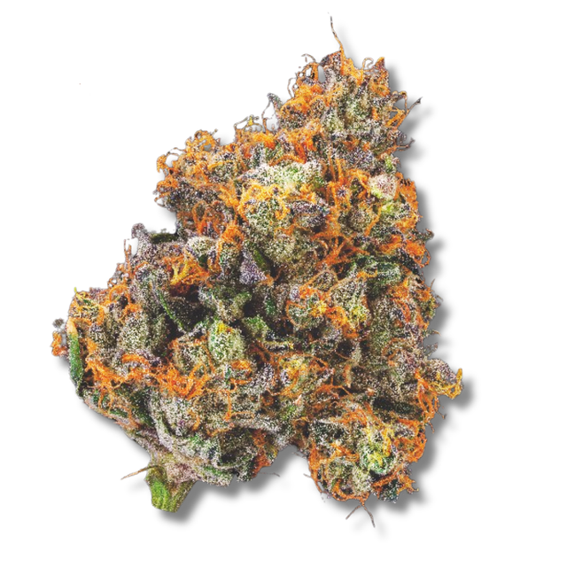 Lava Cake NEA Premium