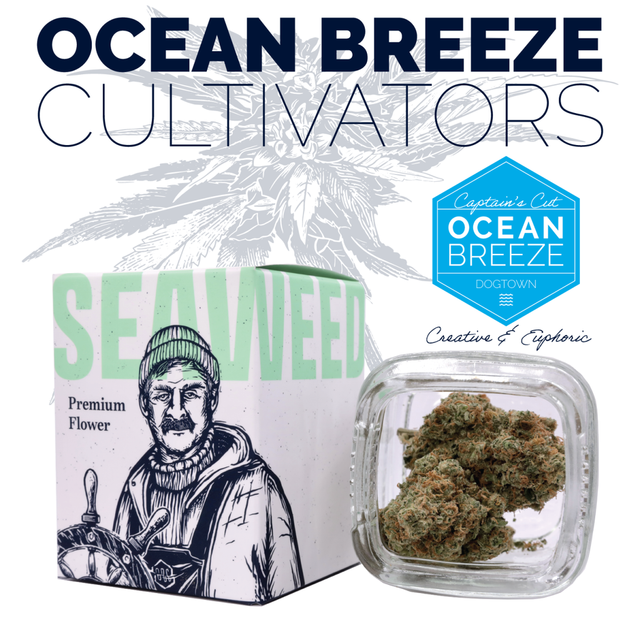 Lemon Jeffery Ocean Breeze Cultivators