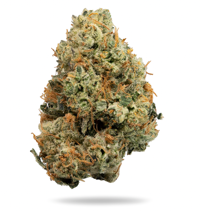 Muffinz Breath PERPETUAL