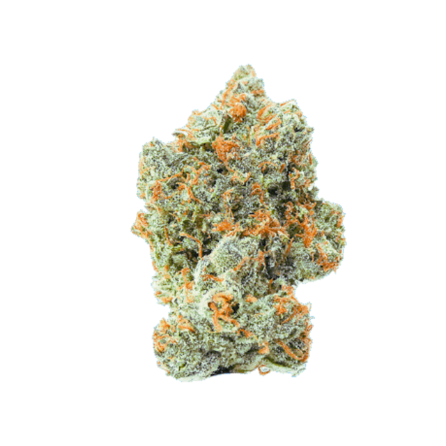 Platinum Jelly LivWell
