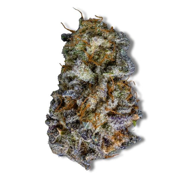 Pineapple Bride PERPETUAL