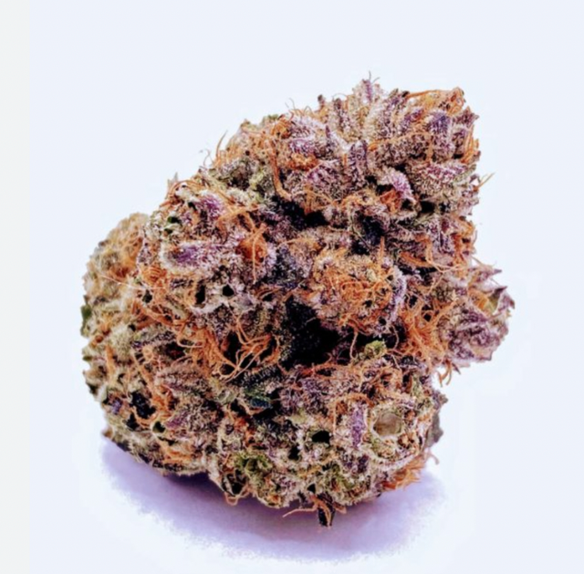 Purple Chem PERPETUAL