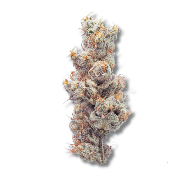 Strawpical Guava Bostica