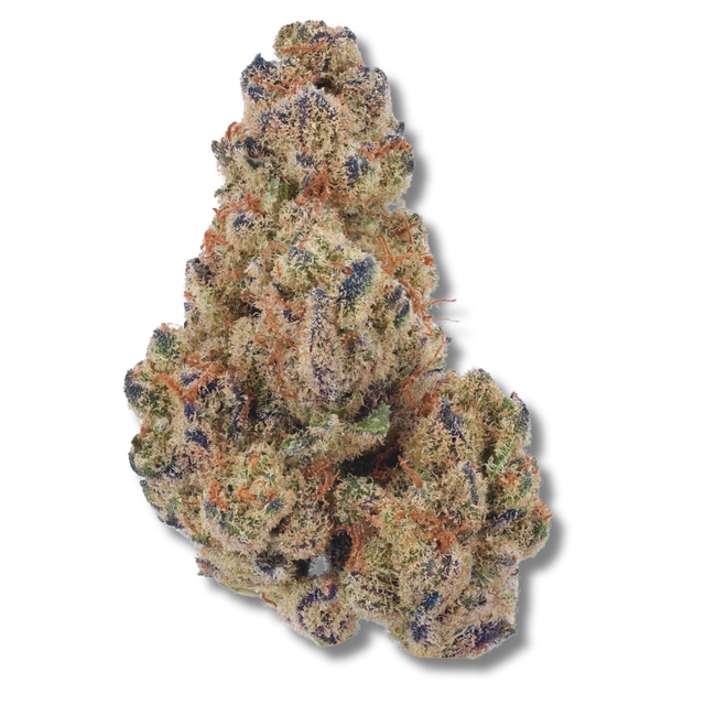 Skunk Hero PERPETUAL