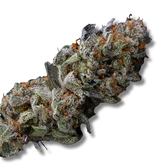 Sour Cannalope Haze PERPETUAL