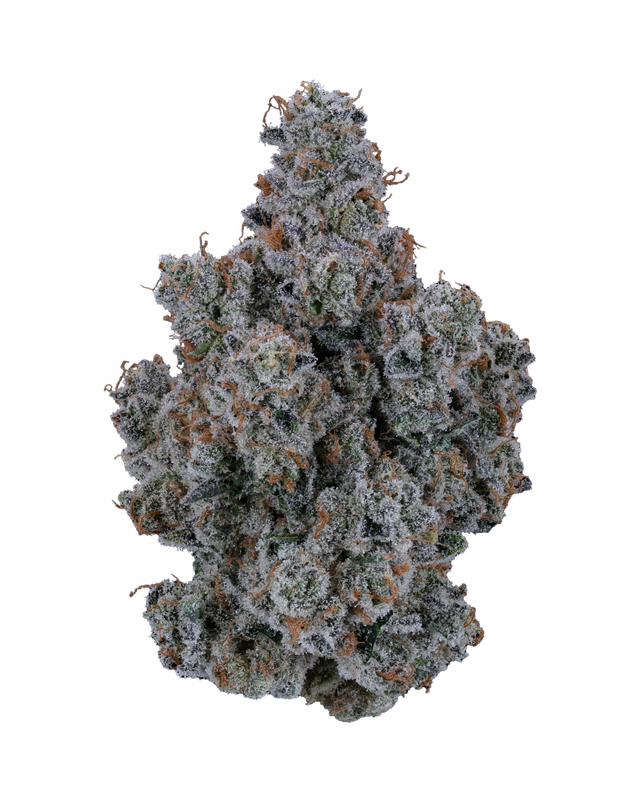 Strawberry Fritter RiverRun Gardens