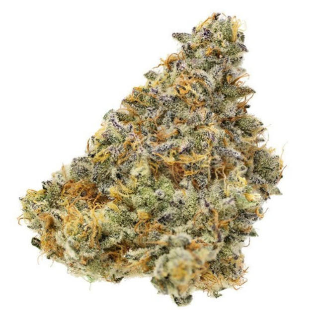 Strawberry Malawi PERPETUAL