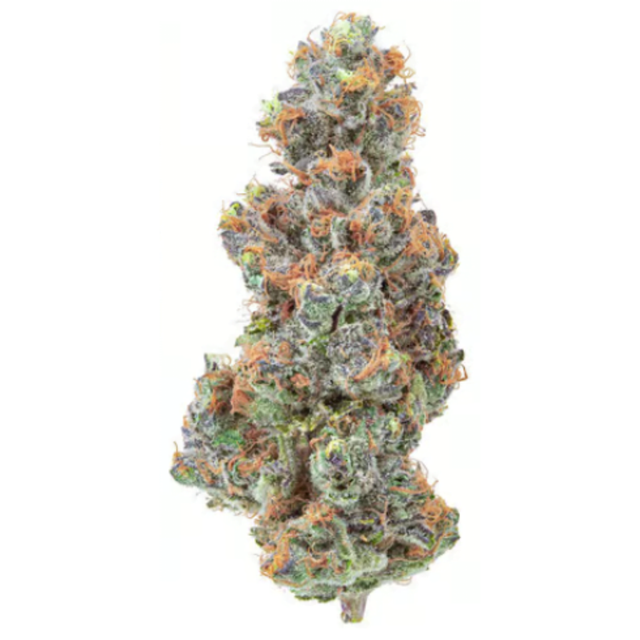 SUPER BOOF X Albarino Harbor House Collective
