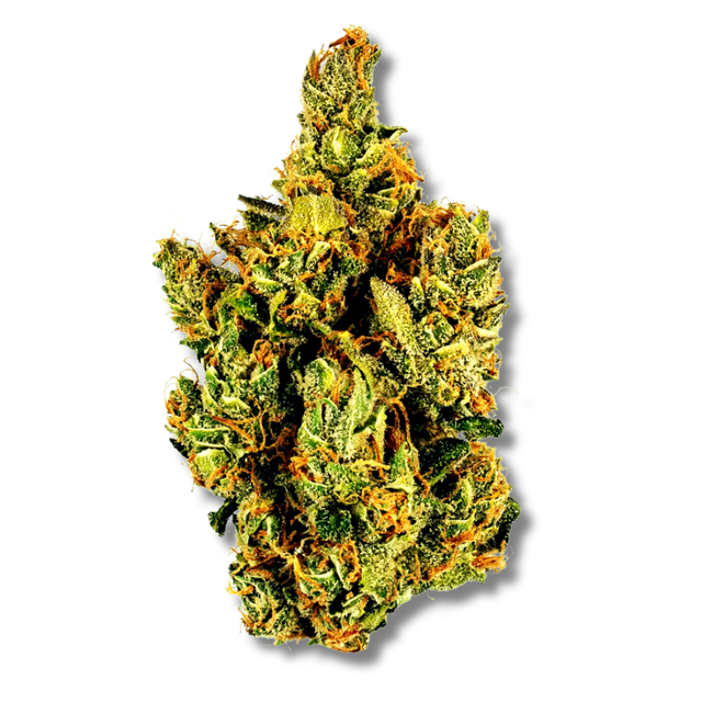 Terpee Slurpee Glorious Cannabis