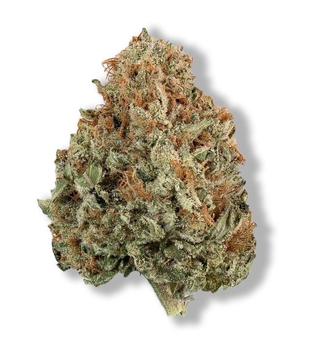 Trainwreck PERPETUAL