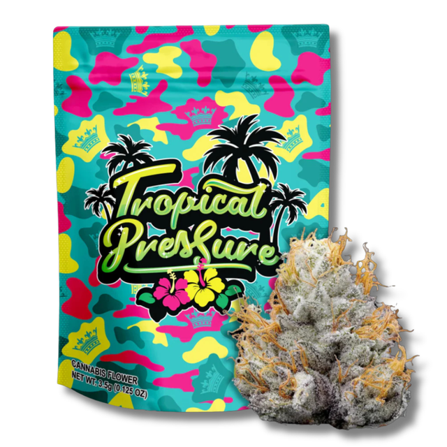 Tropical Pressure Your Highness