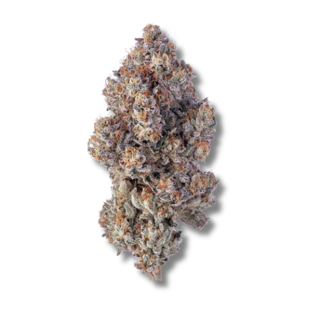 Violet Fog HighMark Provisions