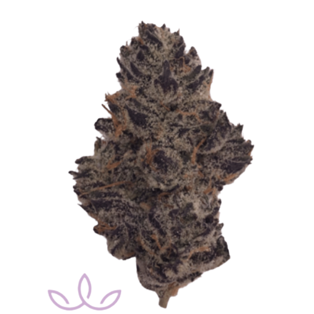 White Truffle - Organic Tower Three