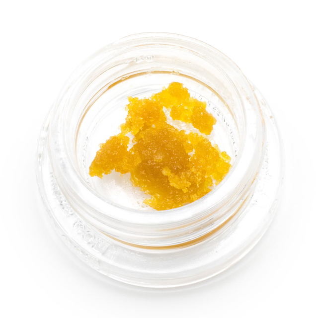 Blueberry Cultivators Classic