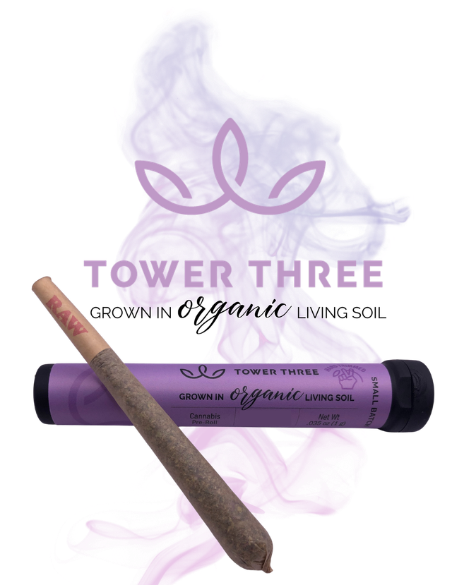 Blueberry French Toast Tower Three