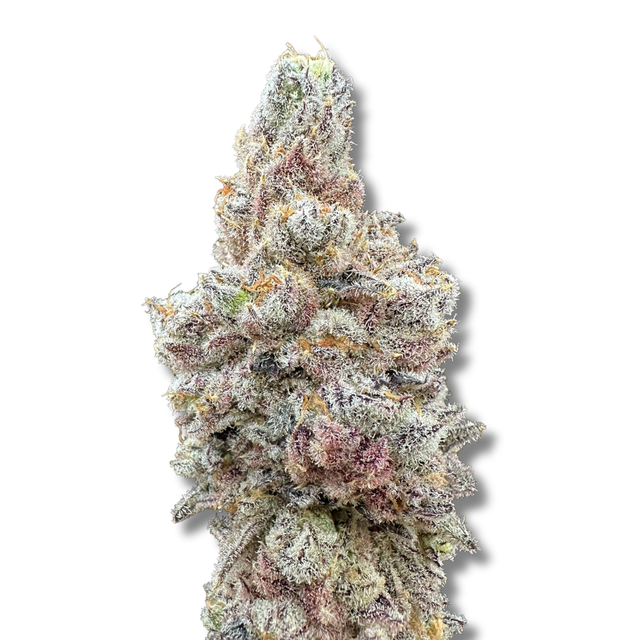 Dry Ice Trifecta Farms