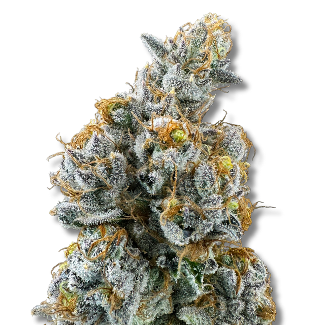 Lemon Cake Trifecta Farms