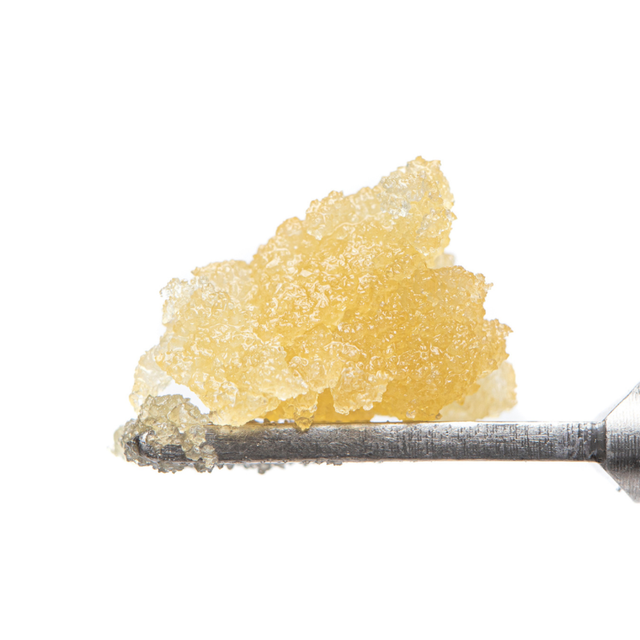 Lemon Margy Cultivators Classic