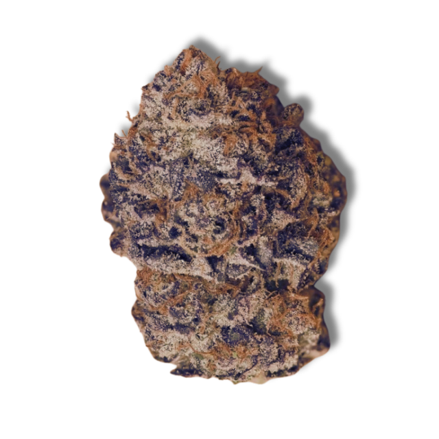 Lemon Cherry Gelato Glorious Cannabis