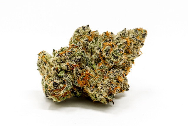 Orange Cookies x Zanimal Sugaree