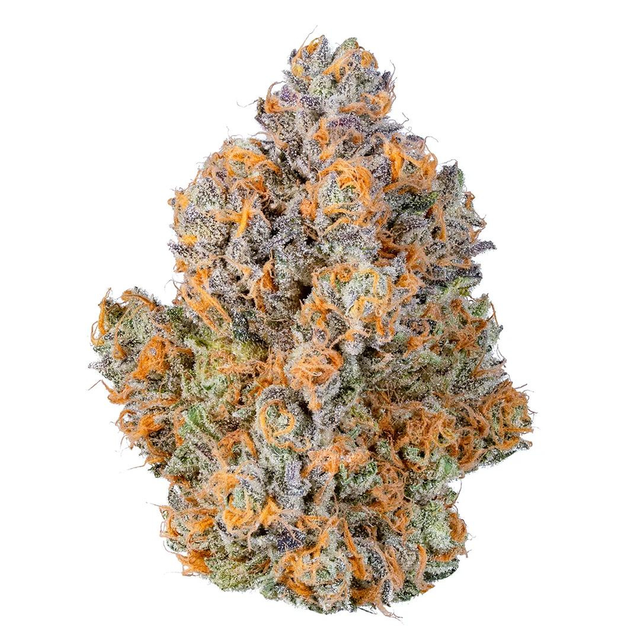Purple Champagne HighMark Provisions