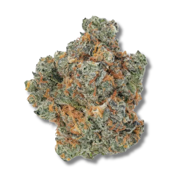 Rainbow Sherbet 11 PERPETUAL