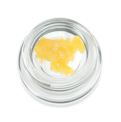 Sugarcane Cookies Cultivators Classic
