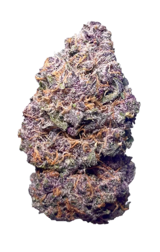 Sundae Driver Fresh Connection