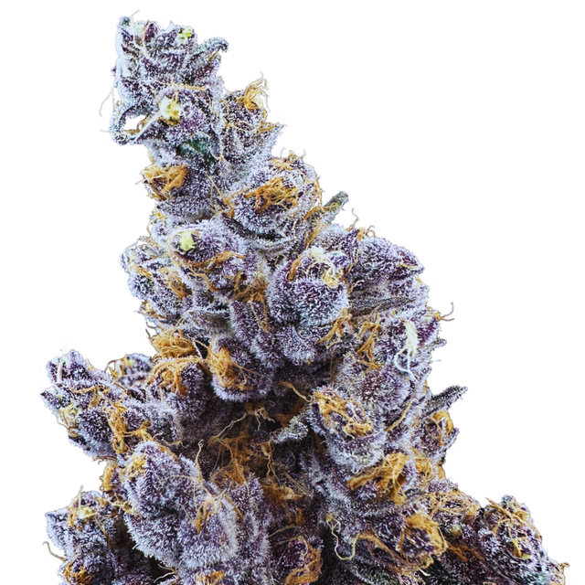 SUPER BOOF Trifecta Farms