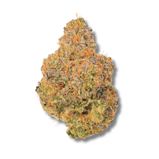 Super Silver Haze Glorious Cannabis