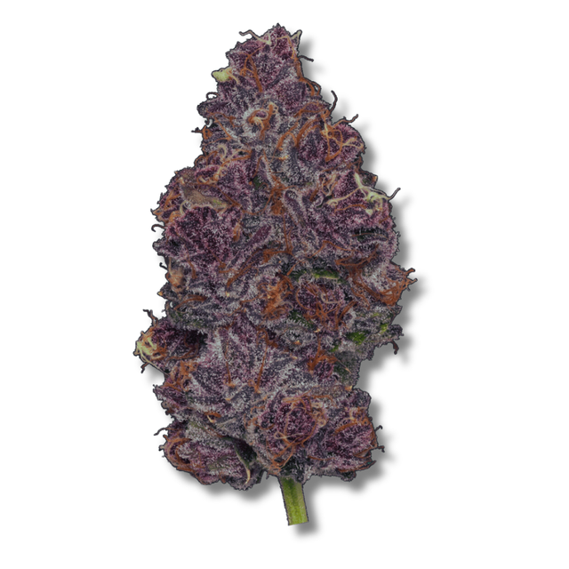 Tropicana Cherry NEA Awarded