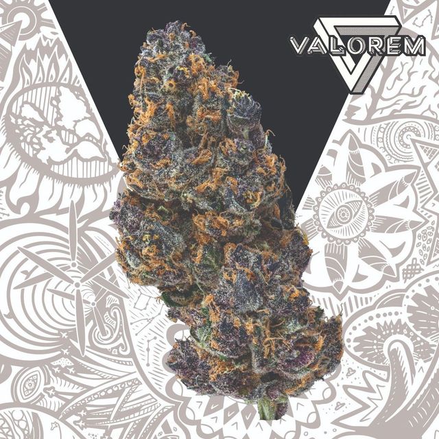 Tropsanto Valorem