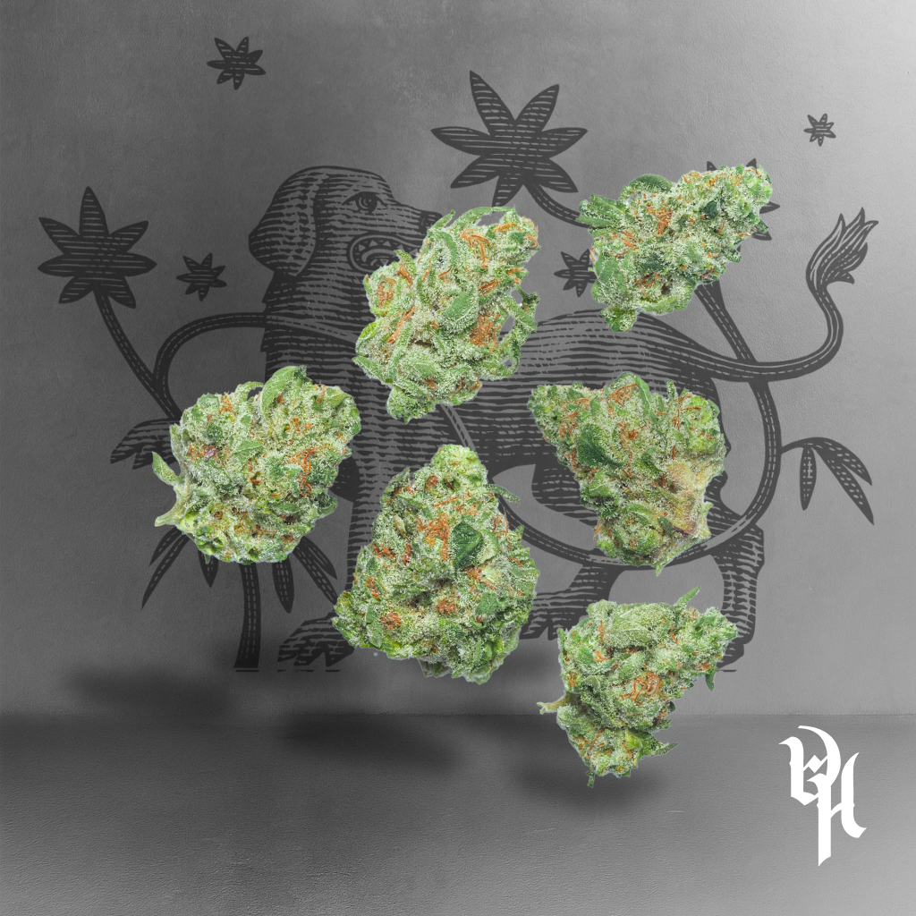 Fallen Jedi Og