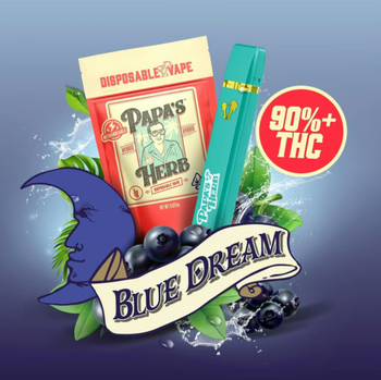 Buy Blue Dream 1g Disposable online - Greenstop Wellness | Jersey City