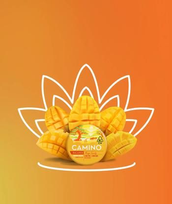 Mango Serenity 1:1 THC:CBD Camino