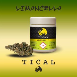 Limoncello Tical