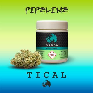 Cannabis Promo, Cannabis Sales, Cannabis Discounts, Cannabis on Sale, VENDOR PRE-PACK 1/8s  — 4/$100 2