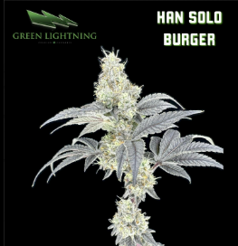 Han Solo Burger  Green Lightning