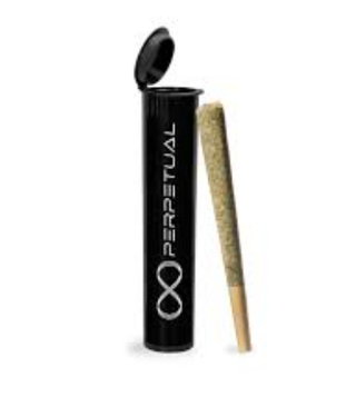 Scented Marker #10 1G Pre-Roll PERPETUAL
