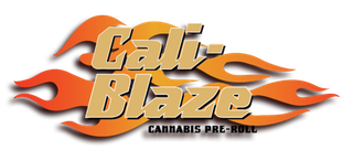 Cotton Cloud Tarantula Cali Blaze