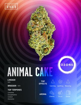 Cannabis Promo, Cannabis Sales, Cannabis Discounts, Cannabis on Sale, $70 Ozone 14g Smalls 1