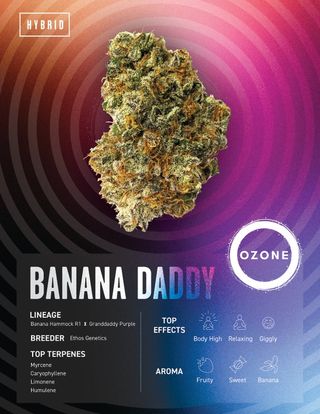 Cannabis Promo, Cannabis Sales, Cannabis Discounts, Cannabis on Sale, Mix & Match Ozone 7g Shake: 2 for $65 2