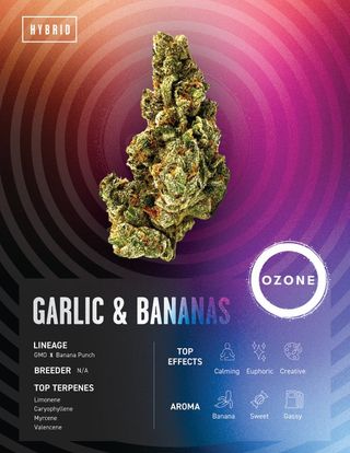 Cannabis Promo, Cannabis Sales, Cannabis Discounts, Cannabis on Sale, $25 Ozone 3.5g Flower! 2