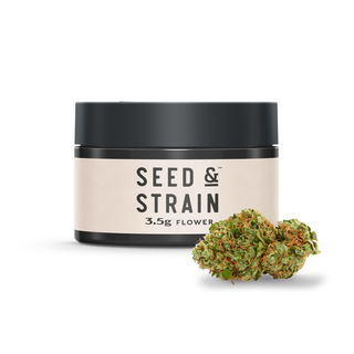 Kushberry Seed & Strain