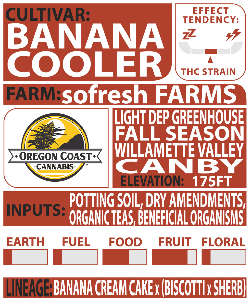 Banana Cooler