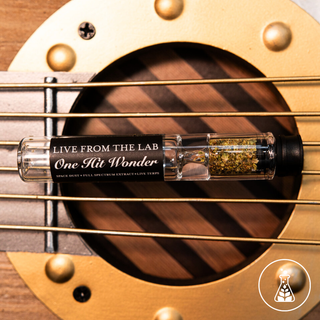 One Hit Wonder Chillum - Indica Blend Live From The Lab
