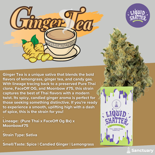 Ginger Tea Liquid Shatter